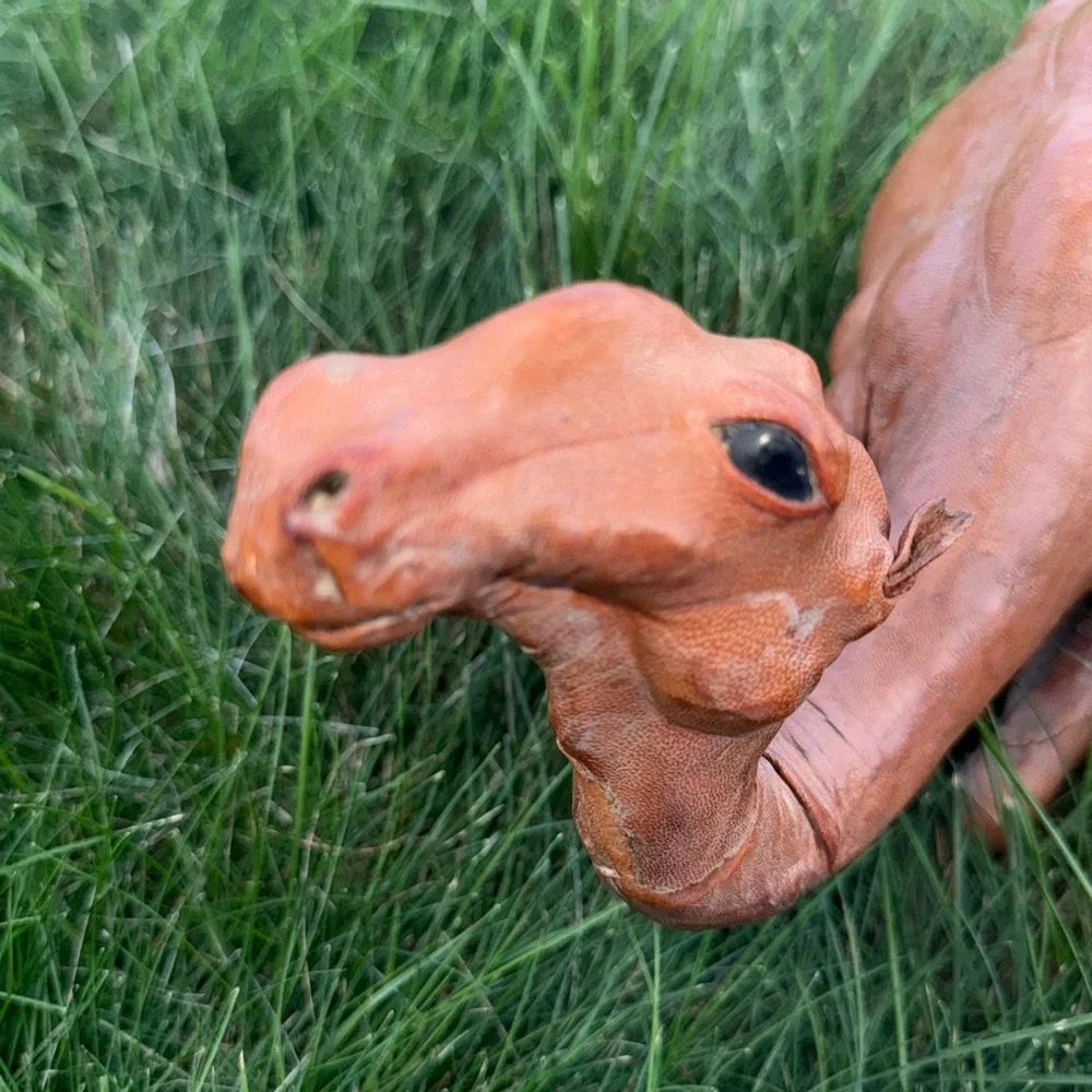Handcrafted Tan Leather Covered Camel Decor